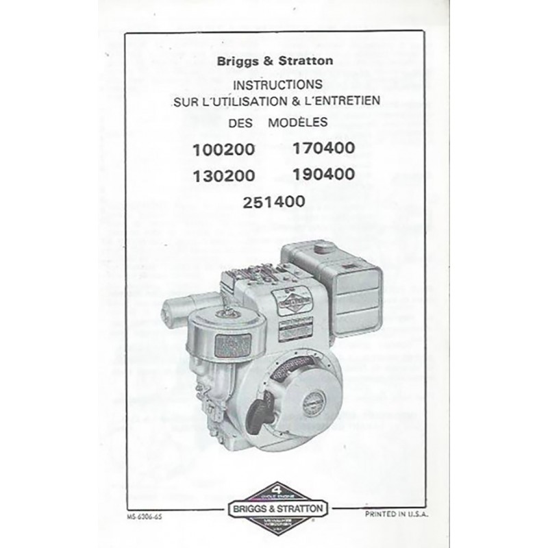 Moteur Briggs 100200 - 251400